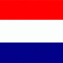 Bandera de NL