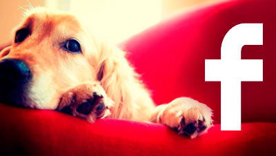 Facebook "La meva mascota i jo"