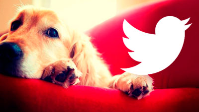 Twitter "La meva mascota i jo"