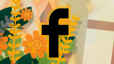 FaceBook 'DFiesta en La 2'