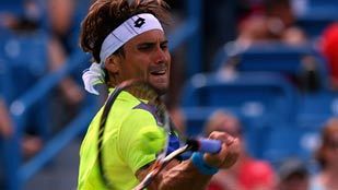 David Ferrer David Ferrer