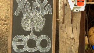 Eco Eco