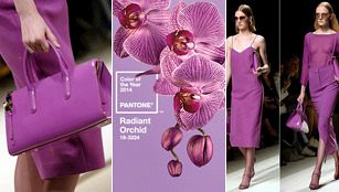 Orquídea radiante, el color de 2014 Orquídea radiante, el color de 2014
