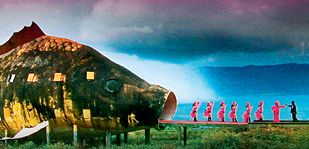 Documentales que se atreven a revelar la injusticia Documentales que se atreven a revelar la injusticia