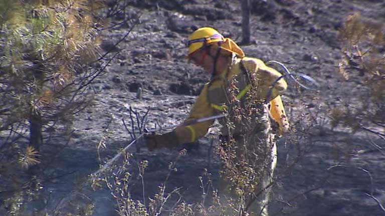 El incendio del Alto Tajo se encuentra ya estabilizado y podr&iacute;a ser controlado en las pr&oacute;ximas horas