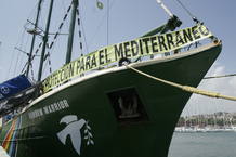 Rainbow Warrior, en 'Mediterráneo Vivo' Rainbow Warrior, en 'Mediterráneo Vivo'