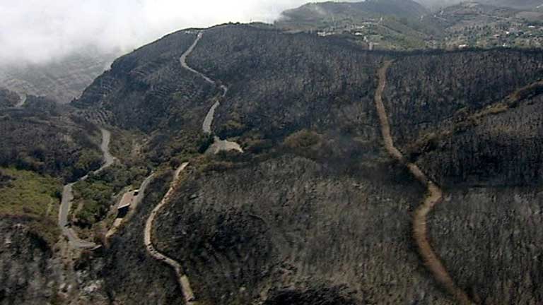 2012 es el a&ntilde;o con m&aacute;s incendios forestales desde que hay estad&iacute;sticas