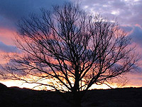 15-Septiembre-2011 15-Septiembre-2011