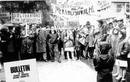1962 - Muestras de apoyo a los huelguistas espa&ntilde;oles en Bruselas