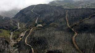 Ver v&iacute;deo  '2012 es el a&ntilde;o con m&aacute;s incendios forestales desde que hay estad&iacute;sticas'