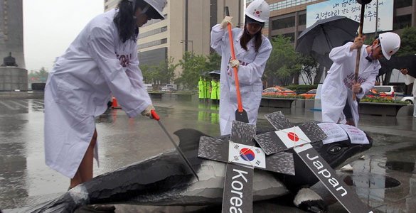 Las protestas han paralizado los planes de Corea del Sur de reanuda la caza científica de ballenas Las protestas han paralizado los planes de Corea del Sur de reanuda la caza científica de ballenas
