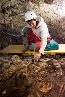 Una investigadora trabaja en los restos fósiles encontrados en la Cueva del Mirador de los yacimientos de la Sierra de Atapuerca Una investigadora trabaja en los restos fósiles encontrados en la Cueva del Mirador de los yacimientos de la Sierra de Atapuerca