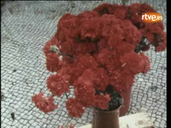 Informe semanal - Tercer aniversario de la "revoluci&oacute;n de los claveles" en Portugal