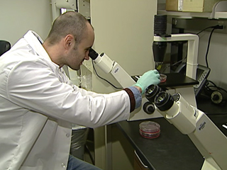 Ver v&iacute;deo  'El 31% de toda la investigaci&oacute;n cient&iacute;fica del mundo se hace en Estados Unidos'