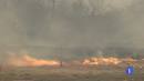 Ir al Video&nbsp;5 incendios en el Pirineo queman unas 1.000 hect&aacute;reas