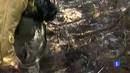 Ir al Video&nbsp;800 hect&aacute;reas de bosque afectados en el incendio de La Gomera