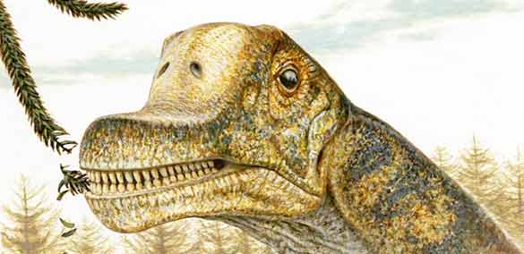 Los saur&oacute;podos son los animales terrestres m&aacute;s grandes, largos y pesados que han habitado la Tierra.