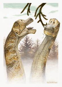 La nueva especie de saur&oacute;podo ha sido bautizada como Abydosaurus mcintoshi