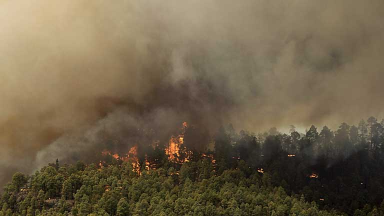 El fuego obliga a dasalojar a los vecinos de la localidad tinerfer&ntilde;a de Chirche
