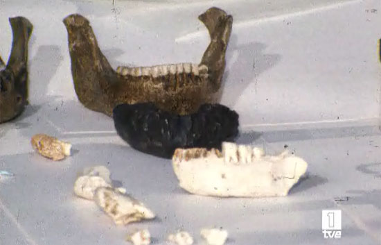 Ver v&iacute;deo  '&iquest;Te acuerdas? - Historia de Atapuerca (2007)'
