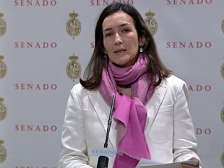 Ver v&iacute;deo  'Acuerdo sobre la Ley Sinde'