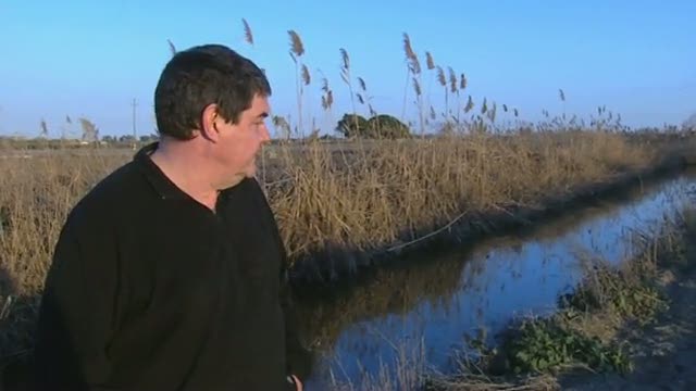 El escarabajo verde -  Acu&iacute;feros