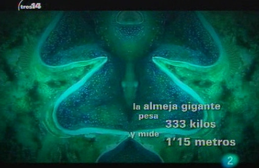 tres14 - Y adem&aacute;s 