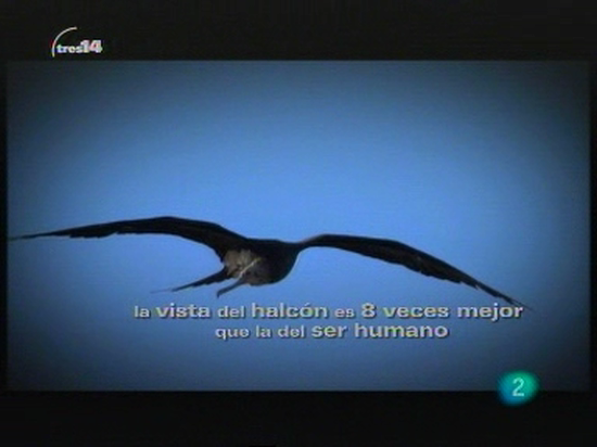 tres14 - Y adem&aacute;s 