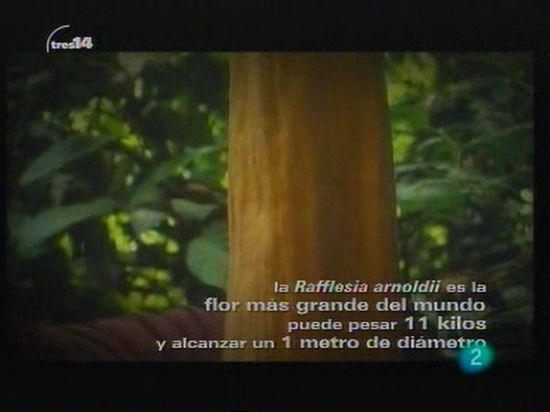 tres14 - Y adem&aacute;s 