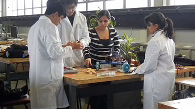 Adorables plantas convertidas en robots m&oacute;viles