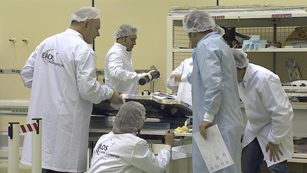 Aeron�utica, consultor�a y seguros, pero sobre todo las PYMES, los que generan m�s empleo
