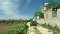 Ir al Video&nbsp;Los agricultores valencianos denuncian los continuos robos sufridos en los &uacute;ltimos a&ntilde;os