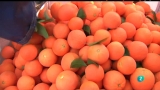 Video: Agrosfera - 04/02/12