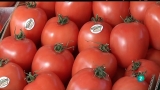 Agrosfera - 11/0...