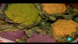 Video: Agrosfera - 22/10/11