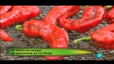 Video: Agrosfera - 29/10/11