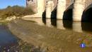 Ir al Video&nbsp;El agua del r&iacute;o Guadiana vuelve a llenar las Tablas de Daimiel.