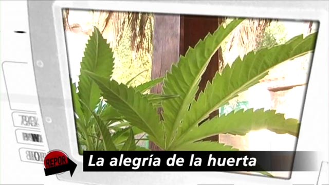 "La alegr&iacute;a de la huerta" - Avance