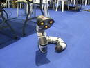 Algunos robots circulan libremente por el suelo de la carpa, haciendo las delicias de muchos aficionados