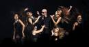 All Star 2012 - Pitbull