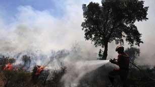 Ver v&iacute;deo  'Alrededor de 1000 personas trabajan en tareas de extinci&oacute;n de incendios por aire y por tierra'
