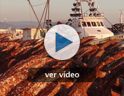 "Amarrados"