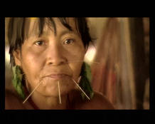 amazonas