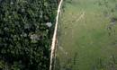 Vista a&eacute;rea que muestra la deforestaci&oacute;n ilegal cerca del Parque Nacional de la Amazonia en Itaituba. 25 de mayo 2012