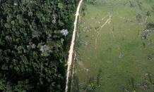 Vista a&eacute;rea que muestra la deforestaci&oacute;n ilegal cerca del Parque Nacional de la Amazonia en Itaituba. 25 de mayo 2012