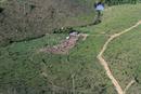 Desde que Dilma Rousseff asumi&oacute; el cargo de presidente se ha reducido la protecci&oacute;n de la selva
