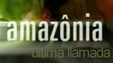 Amazonia. La última llamada