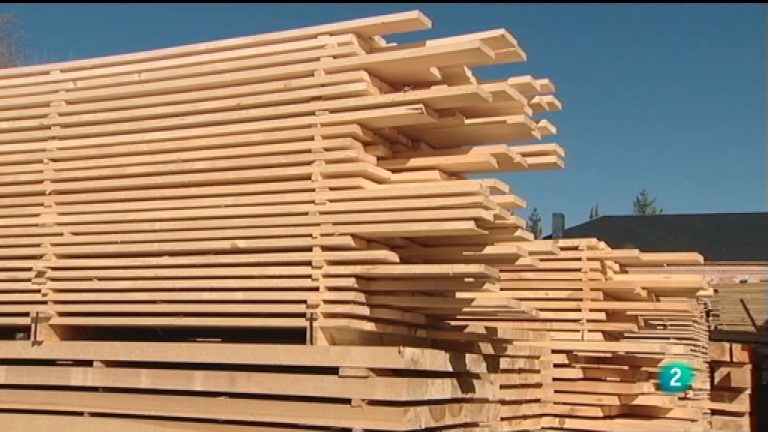 El bosque protector - A ambos lados de Pe&ntilde;alara