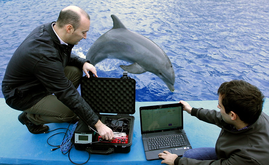 Analizando los sonidos de nuestros amigos los delfines