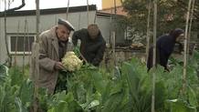 angelino cabras 101 ans cultive son potager